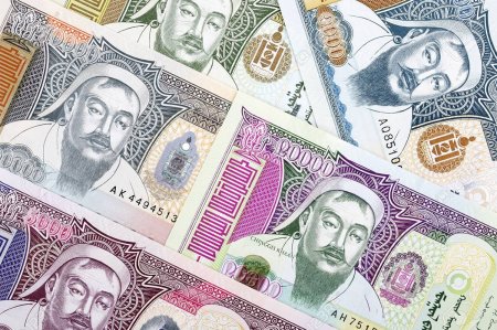 Том дарга нар том дэвсгэртийг санагалзах болов, төлөөс нь юу байх вэ!