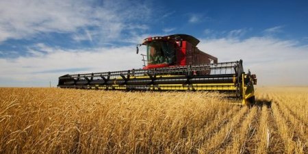 Орон нутагт ажиллах тариаланчдыг өнөөдрөөс эхлэн вакцинд хамруулна